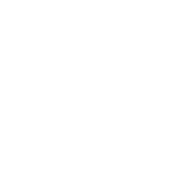 logo Sarinaevam
